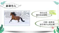 小学语文人教部编版二年级下册一匹出色的马教学课件ppt