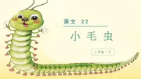 人教部编版二年级下册小毛虫教学ppt课件