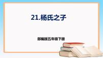 小学语文人教部编版五年级下册杨氏之子优秀ppt课件