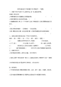 2022-2023学年部编版四年级语文下册期中专项复习 句段 含答案 部编版