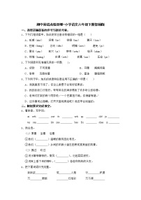 期中易错点检测卷-小学语文六年级下册部编版