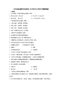 小升初基础知识检测卷-小学语文六年级下册部编版