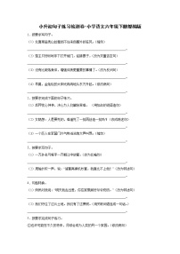 小升初句子练习检测卷-小学语文六年级下册部编版 (2)