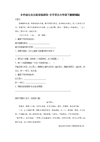 小升初文言文阅读检测卷-小学语文六年级下册部编版 (2)