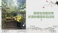 小学语文人教部编版四年级下册习作：游____完美版ppt课件
