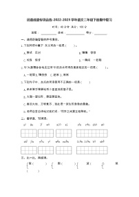 词语成语专项合练-2022-2023学年语文二年级下册期中复习（部编版）