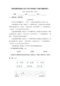课外阅读专项合练-2022-2023学年语文二年级下册期中复习（部编版）