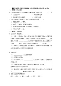 期中测试题（C卷）-2022-2023学年语文六年级下册（部编版）