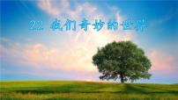 人教部编版三年级下册我们奇妙的世界课前预习ppt课件