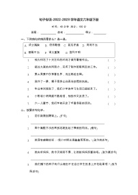 句子专项-2022-2023学年语文六年级下册(部编版)