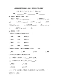 期中阶段复习卷-2022-2023学年语文四年级下册(部编版)