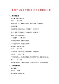 2022-2023学年六年级下册部编版语文期中专题复习学案——专题 05古诗文和日积月累（含答案）