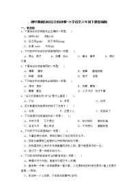 期中基础知识综合特训卷-2022-2023学年语文六年级下册（部编版）