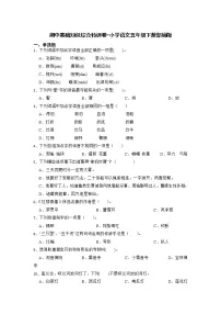 期中基础知识综合特训卷-2022-2023学年语文五年级下册(部编版)