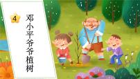 小学语文人教部编版二年级下册邓小平爷爷植树备课ppt课件