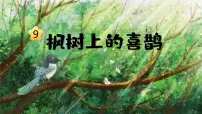 人教部编版二年级下册枫树上的喜鹊教课ppt课件