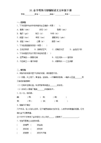 小学语文人教部编版五年级下册金字塔一课一练