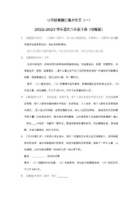 小升初真题汇编大作文（冲刺卷）-2022-2023学年语文六年级下册（部编版）