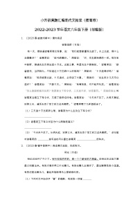 小升初真题汇编现代文阅读（提高卷）-2022-2023学年语文六年级下册（部编版）