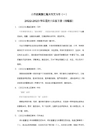 小升初真题汇编大作文习作（提高卷）-2022-2023学年语文六年级下册（部编版）