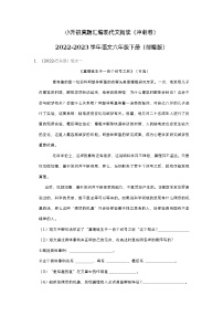 小升初真题汇编现代文阅读（冲刺卷）-2022-2023学年语文六年级下册（部编版）