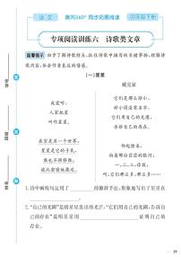 （2023春）-人教版小学语文（四下）-同步拓展阅读 专项阅读训练六 诗歌类文章