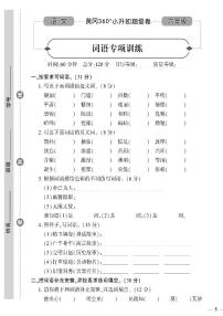 小升初-语文-超级卷-词语专项训练