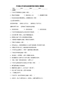 小升初句法实践考前冲刺卷部编版语文六年级下册（含答案）