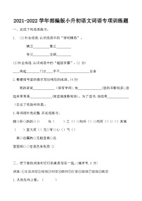 小升初部编版语文六年级下册基础专题过关：词语专项训练（无答案）