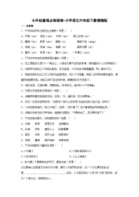 2022-2023学年部编版语文六年级下册小升初重难点检测卷 （含答案）