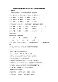 2022-2023学年部编版语文六年级下册小升初专题复习：基础知识