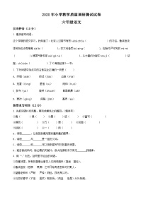 【小升初真题卷】2019-2020学年广东省湛江市赤坎区部编版六年级下册期末调研考试语文试卷（原卷版+解析版）