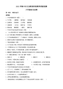 【小升初真题卷】2020-2021学年广东省汕尾市陆丰市部编版六年级下册期末质量监测语文试卷（原卷版+解析版）