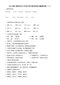 【小升初真题卷】浙江省杭州市2021年小升初开学分班模拟考试语文试卷（原卷版+解析版）