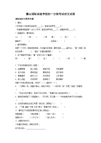 【小升初真题卷】湖南省长沙市麓山国际实验学校2021年部编版小升初考试语文试卷（原卷版+解析版）