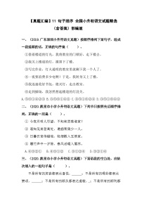 10 修辞手法——全国小升初部编版语文真题精选汇编（含答案）