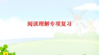 阅读理解专项复习课件PPT