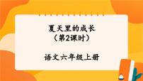 小学语文人教部编版六年级上册夏天里的成长一等奖ppt课件