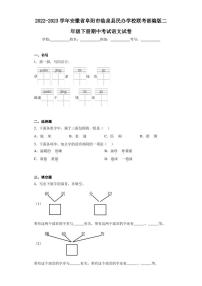 2022-2023学年安徽省阜阳市临泉县民办学校联考部编版二年级下册期中考试语文试卷（含答案解析）