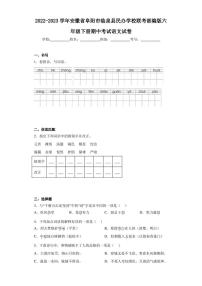 2022-2023学年安徽省阜阳市临泉县民办学校联考部编版六年级下册期中考试语文试卷（含答案解析）