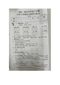 河南省开封市龙亭区前台小学2022-2023学年六年级下学期期中语文试卷