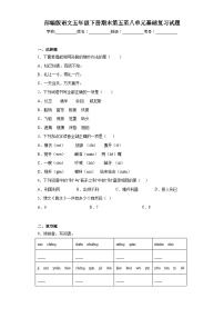 部编版语文五年级下册期末第五至八单元基础复习试题