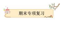 六年级语文下册期末专项复习 阅读专项课件PPT