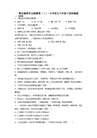 期末高频考点检测卷（二）-2022-2023学年语文六年级下册（统编版）