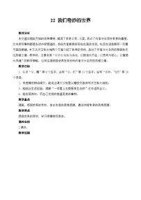 小学语文人教部编版三年级下册我们奇妙的世界教案设计