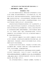 部编版语文六年级下册《世界名著》阅读专项训练（二）试题（无答案）