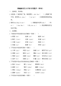 小升初专项提升字词（试题）部编版语文六年级下册