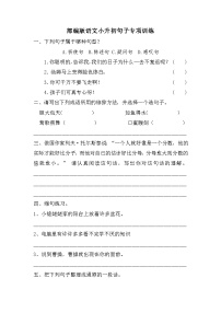 小升初句子专项训练（试题）部编版语文六年级下册