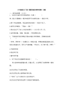 人教部编版六年级下册董存瑞舍身炸暗堡精练