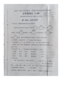 河北省唐山市迁安市2022-2023学年五年级下学期期中语文试题